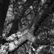Image for article titled Shooting Challenge: Blackwhite 5